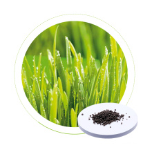 Dr Aid NPK 15 5 26 Great Price seeweed organic liquid fertilizer complete fertilizer fertilizer dap for coffee crop